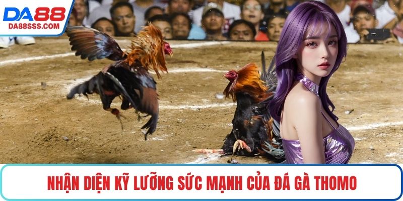 Nhận diện kỹ lưỡng sức mạnh của đá gà Thomo